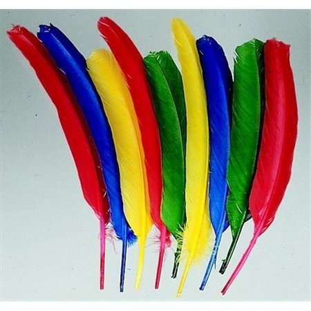 SCHOOL SMART School Smart 086301 10-12 In. Non-Toxic Long Colored Quill; Pack 100 86301